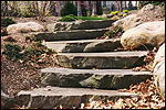 Natural Steps and Pathway Stone